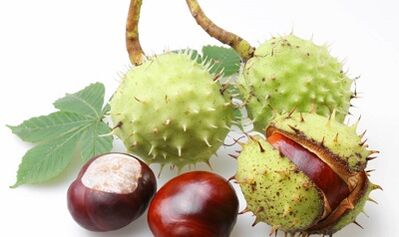 Castano di cavallo dalle vene varicose delle estremità inferiori